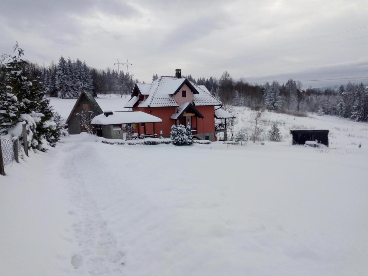 Vila Dodi Villa Bajina Basta Eksteriør billede